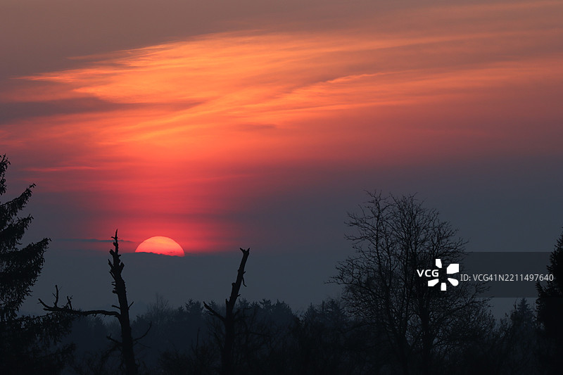 橙色天空下的树木剪影图片素材