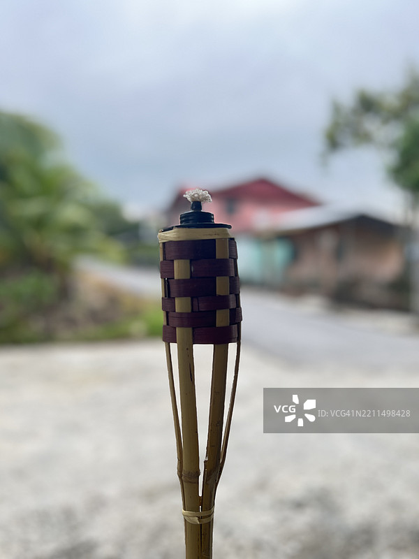 鸟儿栖息在木桩上的特写，沙里凯，砂拉越，马来西亚图片素材