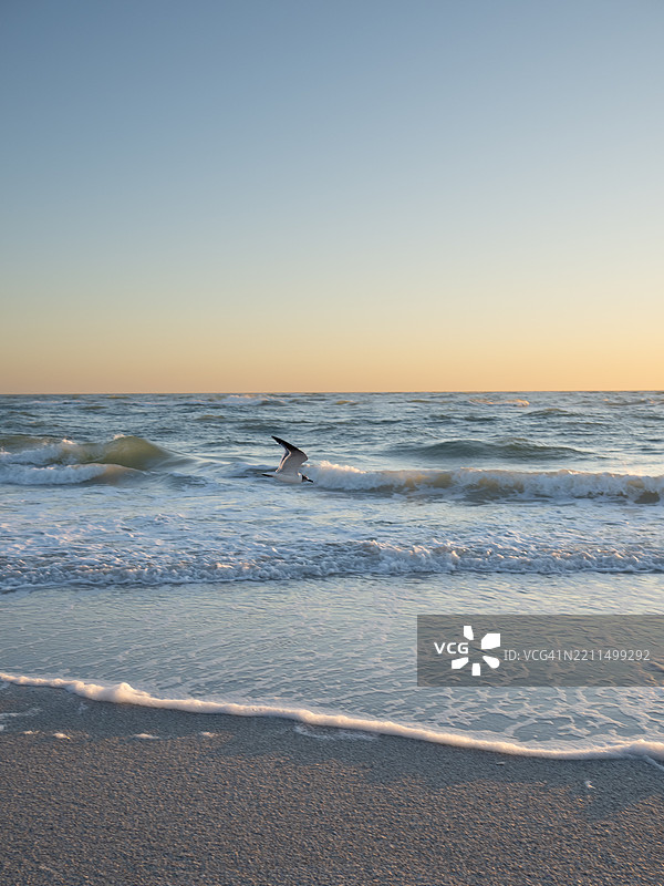 佛罗里达州马尼蒂县清澈天空下的海景图片素材