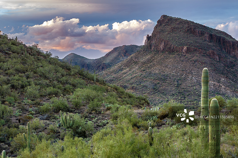 亚利桑那州皮奥里亚的天空下山脉的美丽景色图片素材