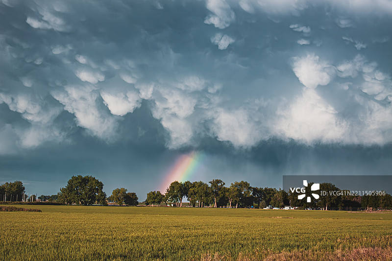 科罗拉多州朗蒙特的农业田野美景与天空相映成趣图片素材