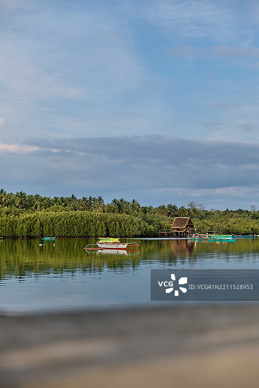 小船静静地停靠在红树林森林的边缘。图片素材