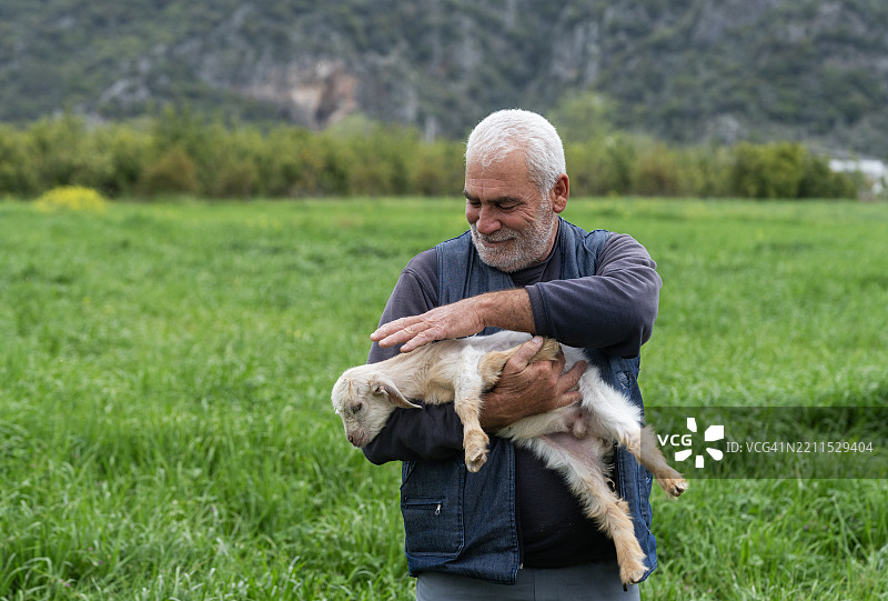 成熟男人在农场里抱着小羊羔图片素材