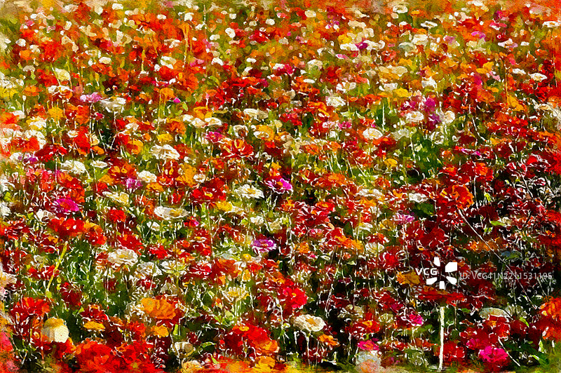 一幅抽象明亮花朵在田野中的水彩插图。水彩花卉风景，花卉墙面艺术，水彩花田，花海，乡村风景，水彩野花。图片素材
