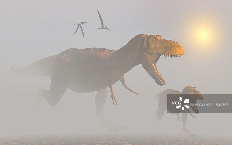 一对霸王龙在雾气弥漫的景观中奔跑图片素材