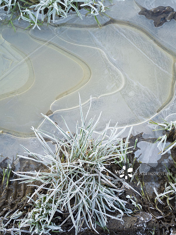 泰晤士河阿宾顿的冰冻水洼和草地上的抽象图案图片素材