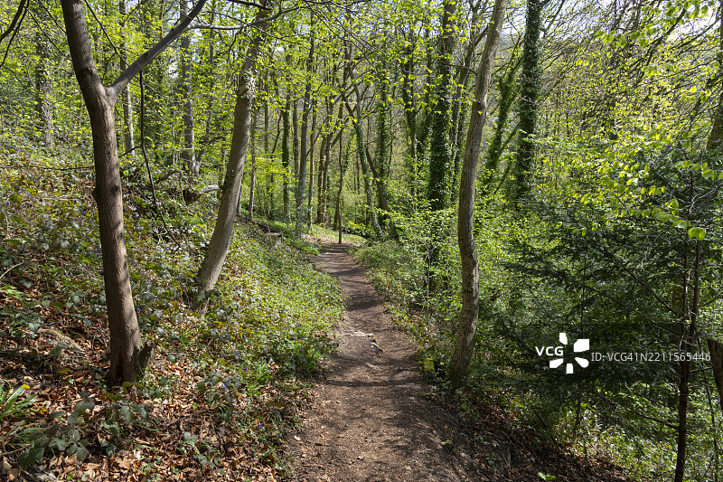 高托尔场地，马特洛克浴场，德比郡，英格兰图片素材