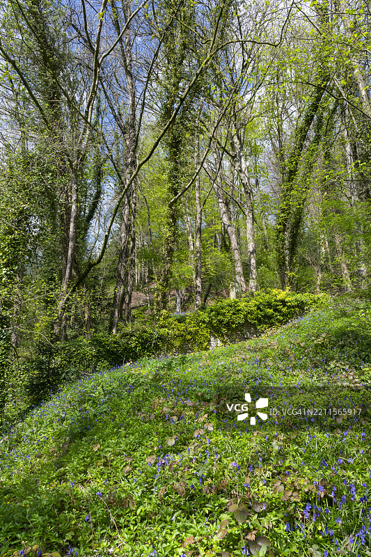 高托尔场地，马特洛克浴场，德比郡，英格兰图片素材