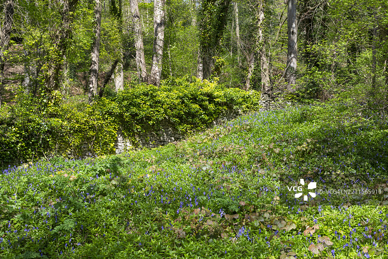 高托尔场地，马特洛克浴场，德比郡，英格兰图片素材