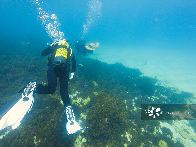 塔里法的潜水员图片素材