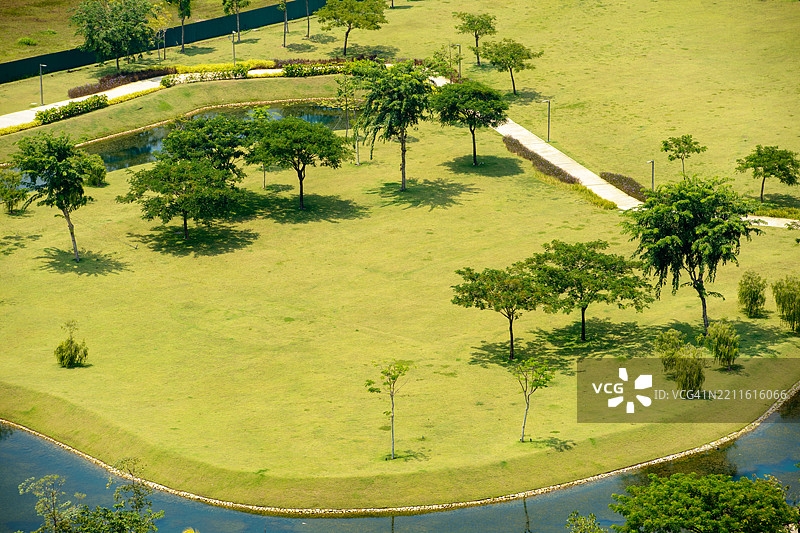 绿色田野上的树木图片素材