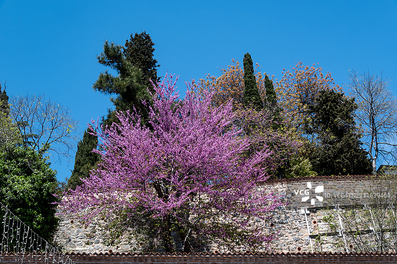 在伊斯坦布尔贝西克塔斯的中心图片素材