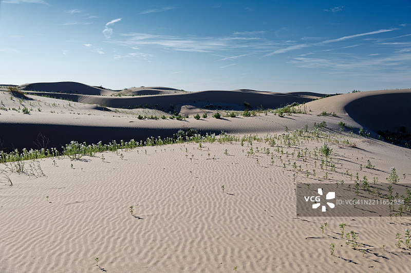 美国莫纳汉斯沙丘州立公园的金牌日图片素材