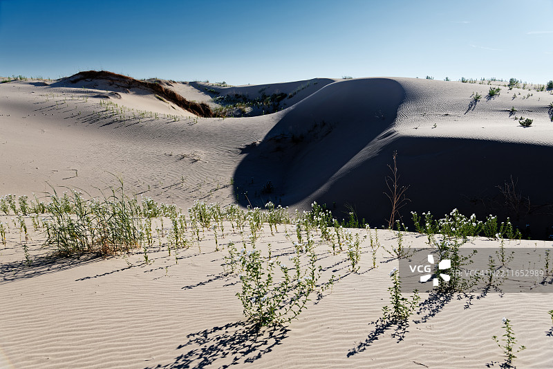 怀念在莫纳汉斯沙丘州立公园的一个星期天，莫纳汉斯沙丘州立公园，美国，USA图片素材