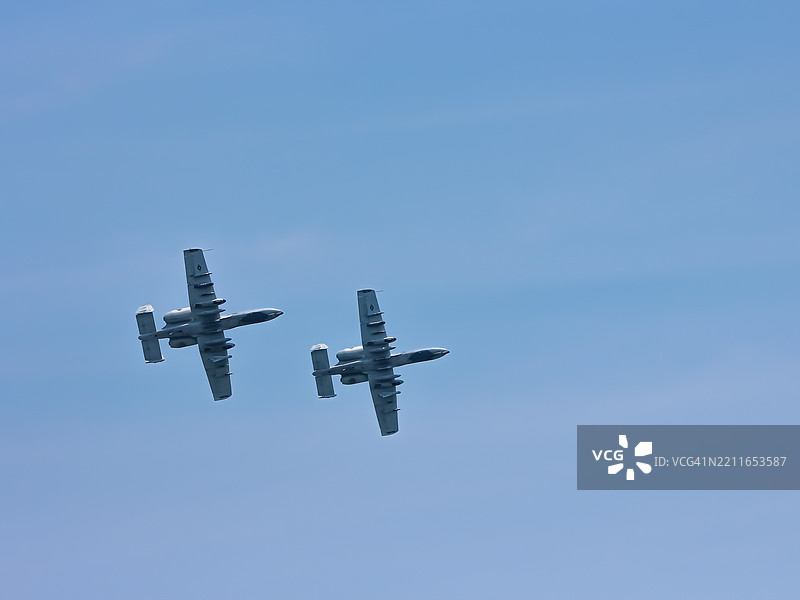 在天空中飞行的疣猪，马里兰州海洋城，美国图片素材