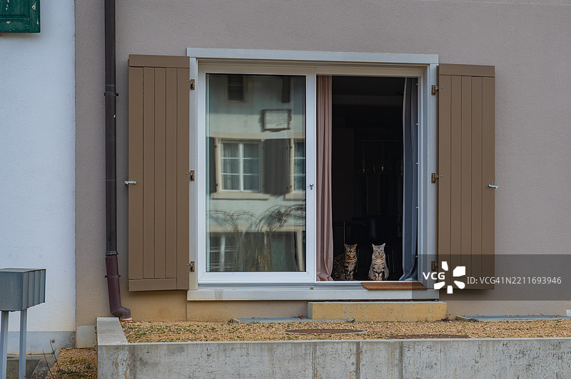 年轻女性的肖像图片素材