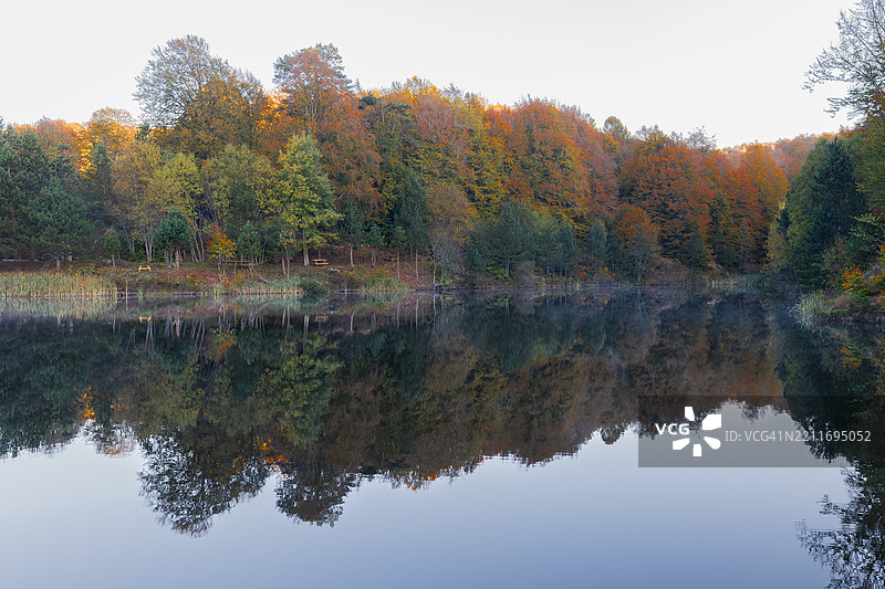 秋天时分，湖边树木与天空相映成趣的美丽景色图片素材