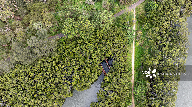 树木间的道路鸟瞰图，霍姆布什湾，澳大利亚图片素材