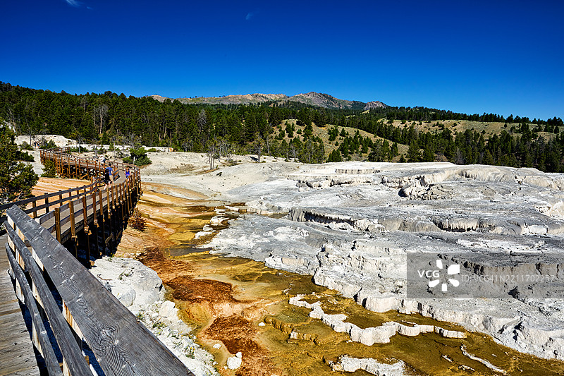 黄石国家公园怀俄明州的猛犸热泉的密涅瓦露台图片素材