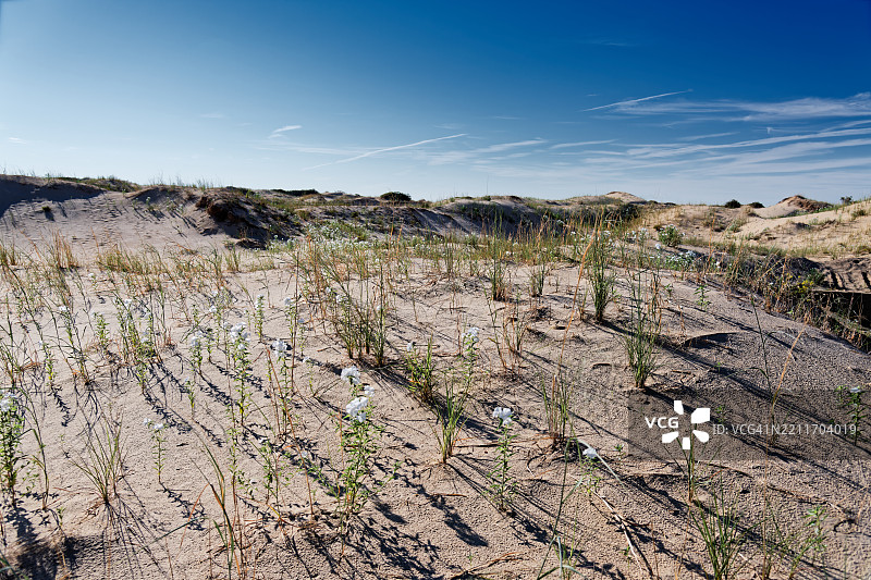 在美国莫纳汉斯沙丘州立公园发现的探险活动图片素材