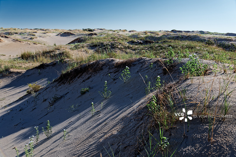在美国莫纳汉斯沙丘州立公园的个人摄影任务图片素材