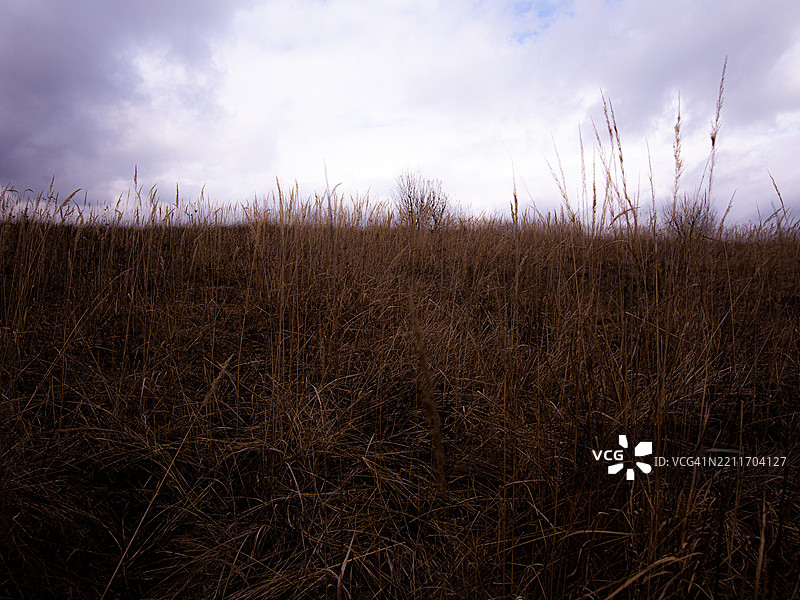 斯维特，斯洛伐克的天空下田野的美丽景色图片素材