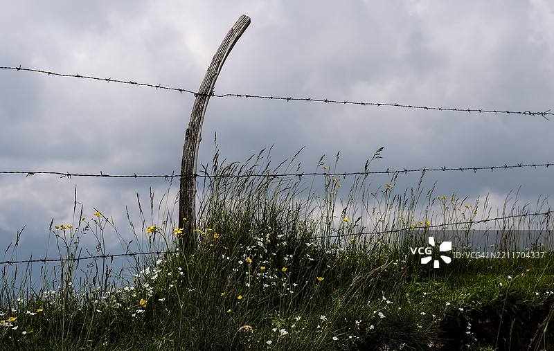湿地的风景图片素材