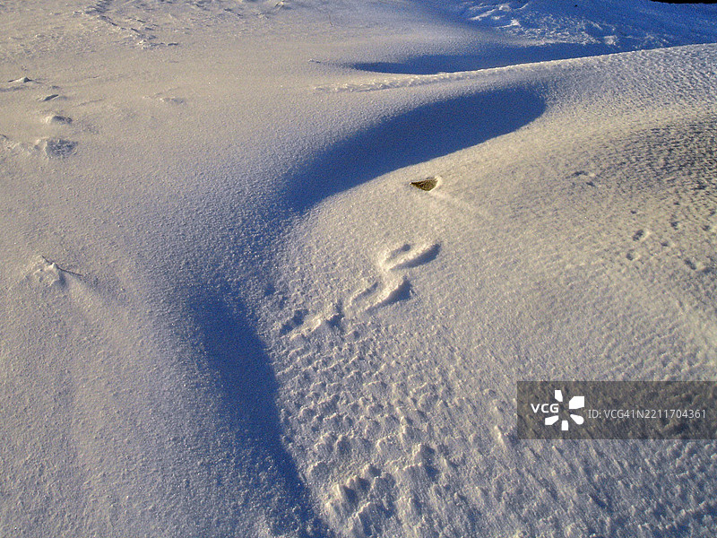沙滩上脚印的高角度视图图片素材