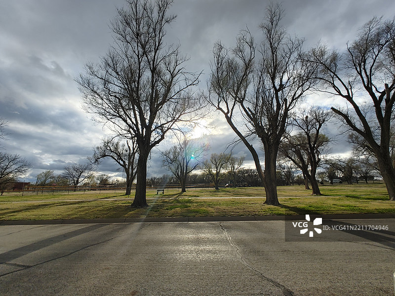 堪萨斯州的天空下，田野上的树木图片素材