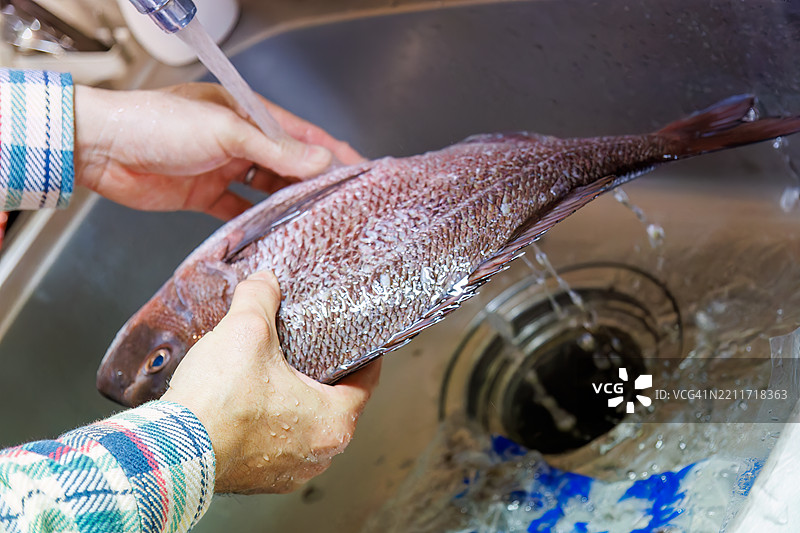 正在使用去鳞器去除鱼鳞。我们请厨师为我们处理红鲷鱼。图片素材