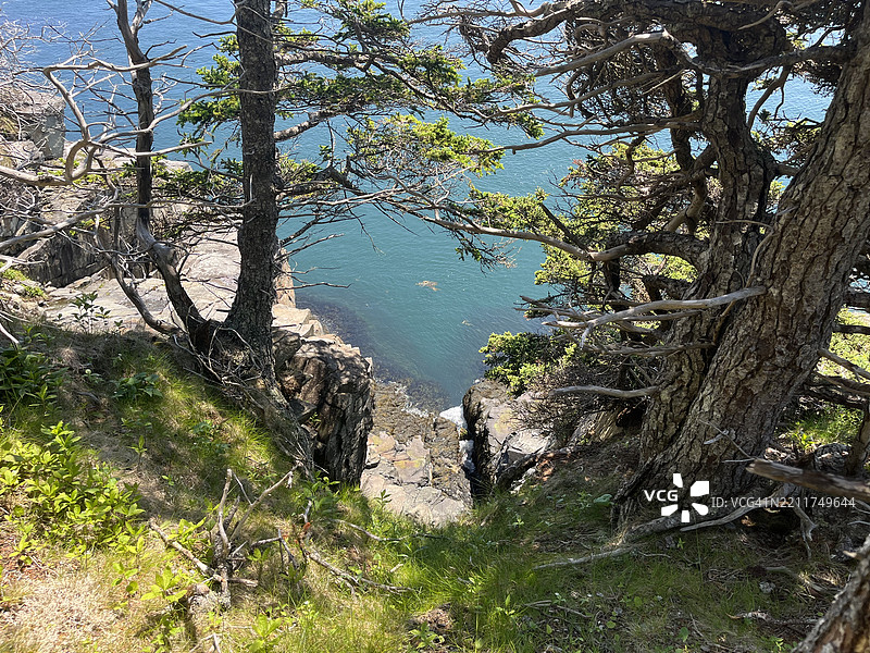 俯瞰海洋的小径。夸迪头州立公园。图片素材