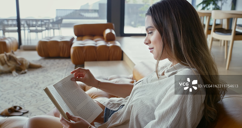 家中，女性与书籍，放松或舒适地阅读小说，狗或教育。房子，情感支持动物与在客厅中阅读文学的人，休息或与宠物的主人。图片素材