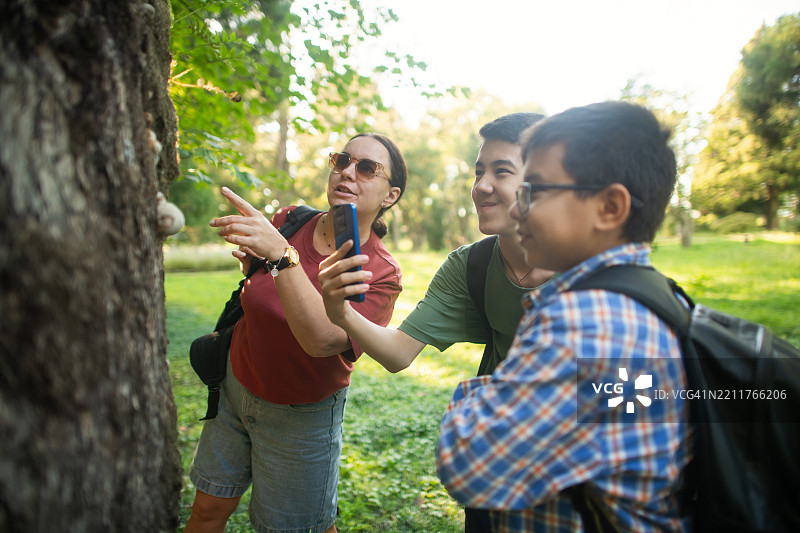 家庭在夏季探索大自然图片素材