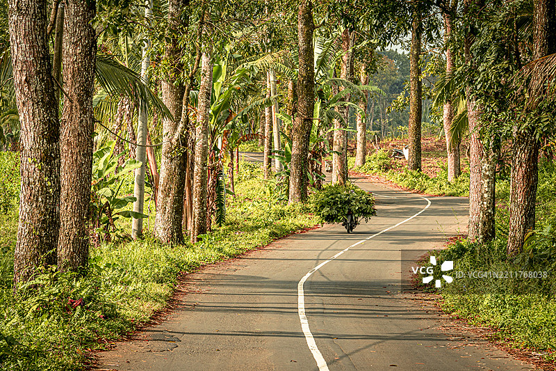 骑摩托车的农民在树荫小路上行驶图片素材