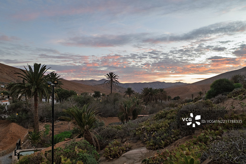 五福特文图拉山谷的彩色日落照亮了棕榈树和干旱的景观图片素材