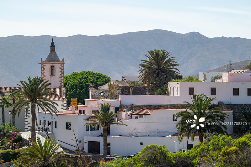 富埃特文图拉，加那利群岛的贝坦库里亚镇，展示了圣玛丽亚教堂和棕榈树。图片素材