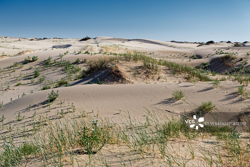 在美国莫纳汉斯沙丘州立公园寻找冒险的渴望图片素材