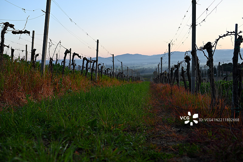 清澈天空下的田野美景图片素材