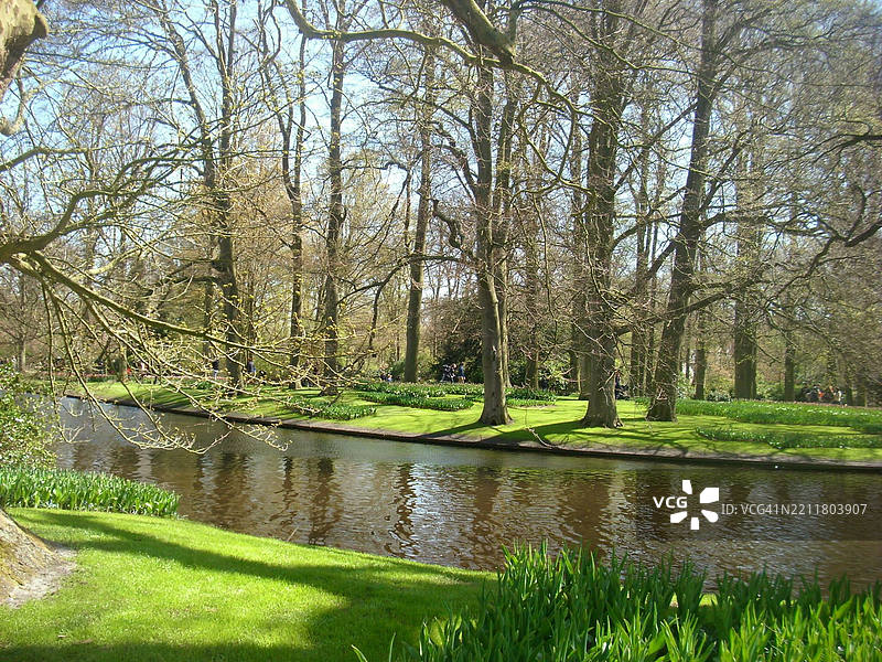 森林中的湖泊美景图片素材