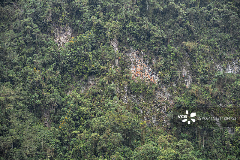 山雨林中树木的纹理，阳光透过山丘的褶皱，光影平衡，展现出一个开放探索的风景。图片素材