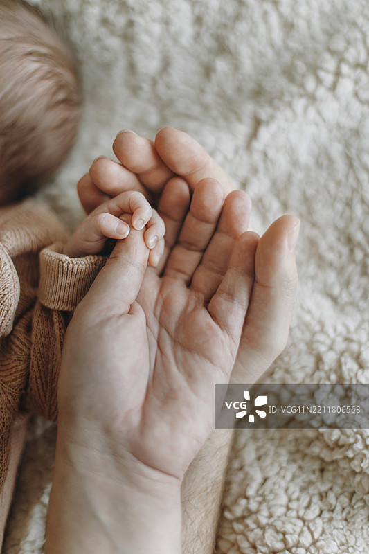 父母握着新生儿的小手特写 爱与家庭的概念 父亲节快乐 母亲节快乐 爸爸和妈妈与可爱的小婴儿亲密互动 领养 儿童健康与护理图片素材