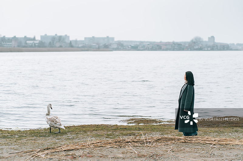 在寒冷阴 cloudy 的日子里，平静的韩国女人在湖边观察天鹅。图片素材