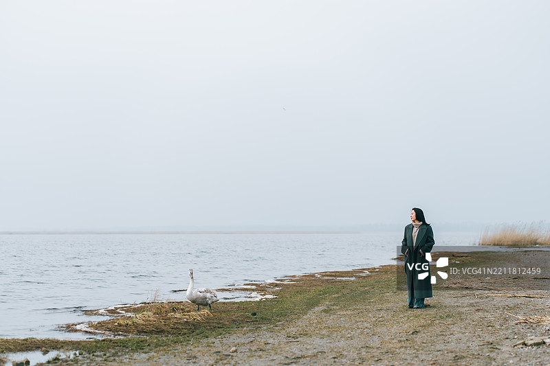 雾天，女人在湖边散步，观看天鹅。图片素材
