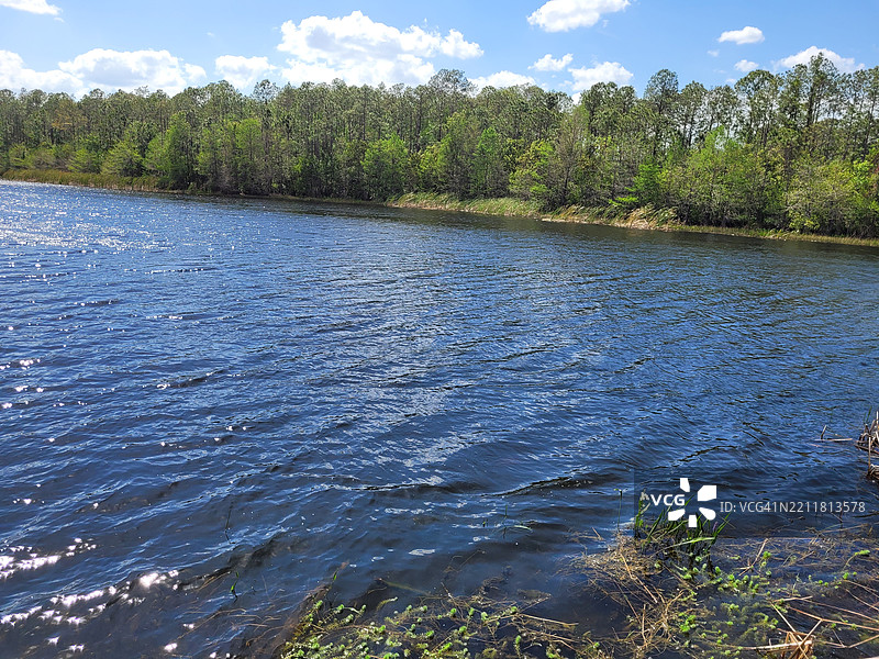 佛罗里达州奥兰多的湖泊美景与天空相映图片素材