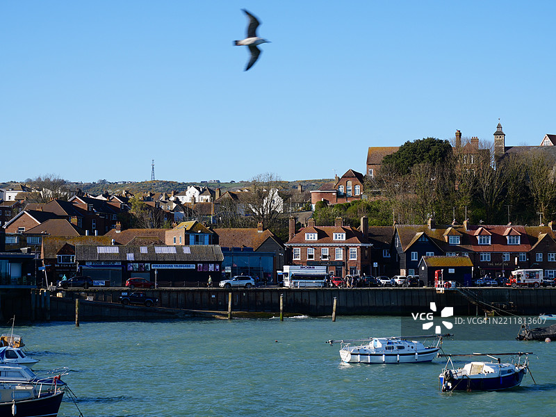 低角度视图的海鸥在清澈的天空上飞翔，福克斯通，英国图片素材
