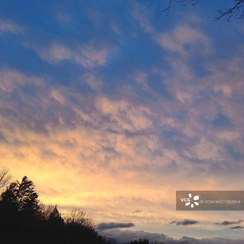 低角度视图下树木的剪影与戏剧性的天空，诺克斯维尔，田纳西州，美国图片素材