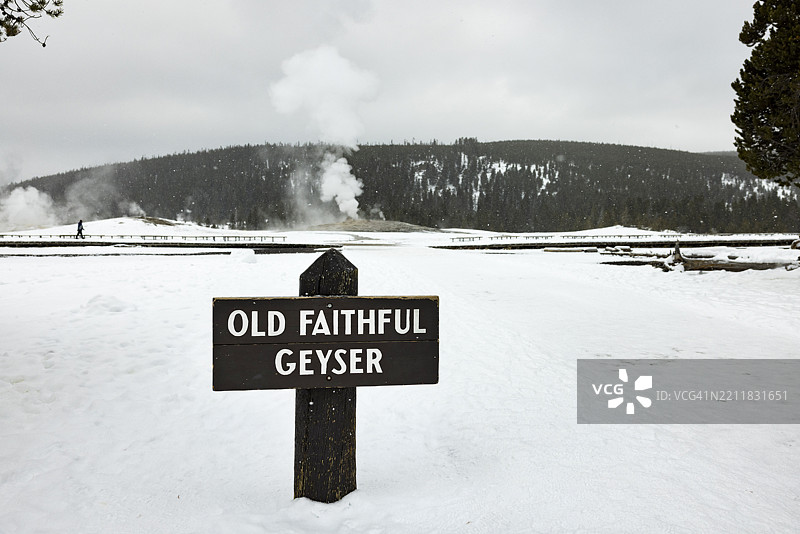 游客观看老忠实喷发。图片素材