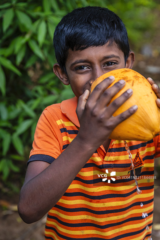 斯里兰卡小男孩在喝椰子水，锡兰图片素材