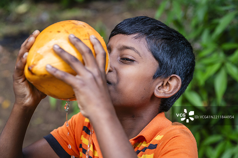 斯里兰卡小男孩在喝椰子水，锡兰图片素材