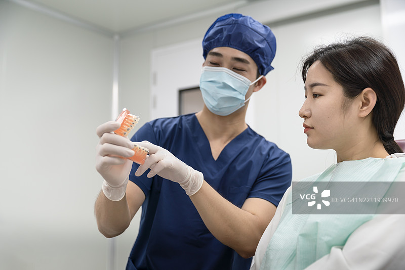 牙医在诊所展示牙齿模型。图片素材